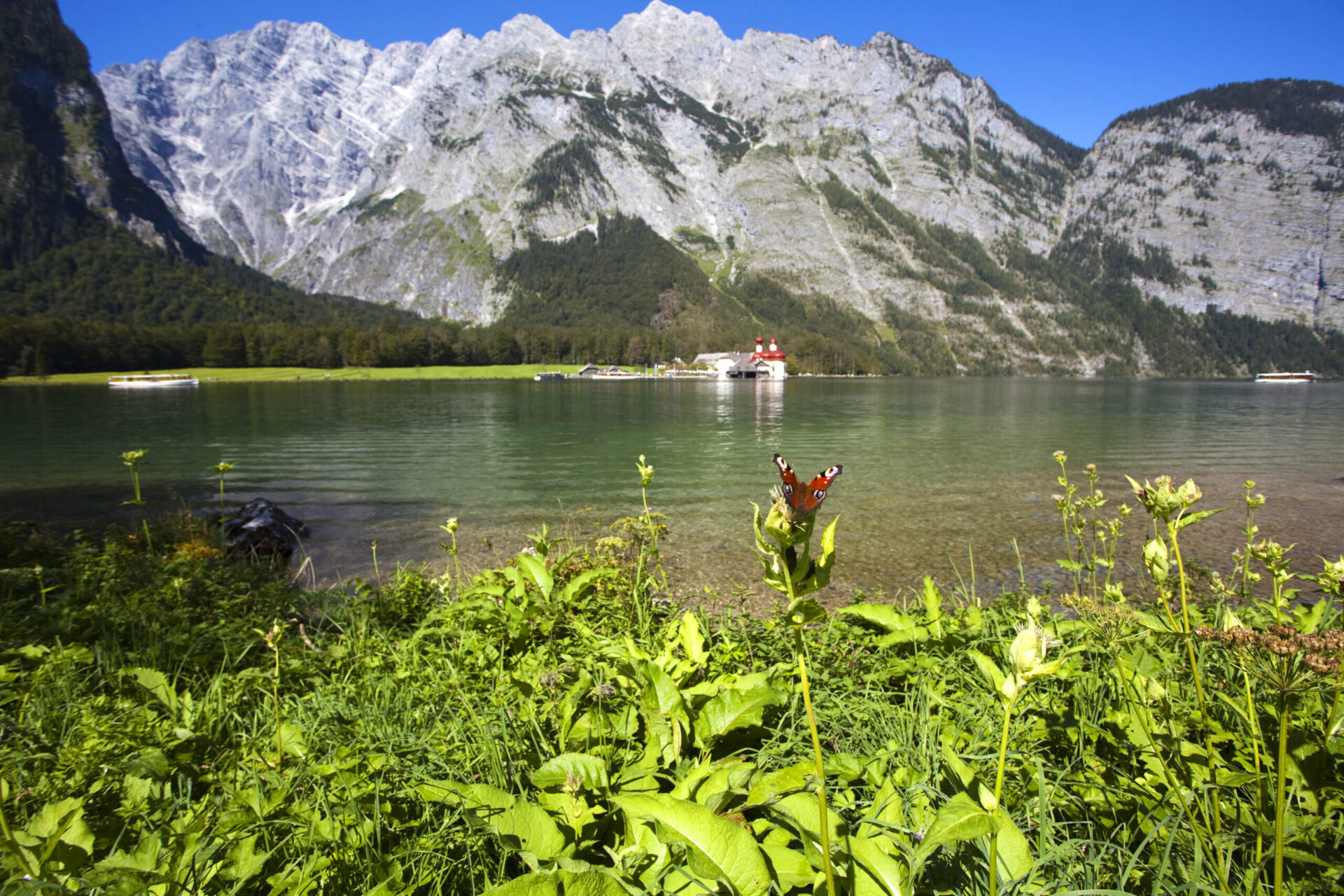 Alpenhotel Fischer, Urlaubsangebote in Berchtesgaden, Koenigssee mit Schmetterling